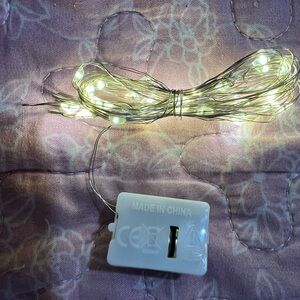 BNWT- 30 LED Battery String Fairy Lights.